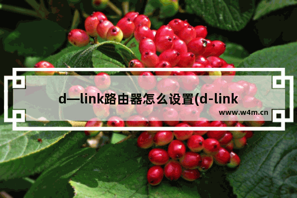 d—link路由器怎么设置(d-link路由器怎样设置)