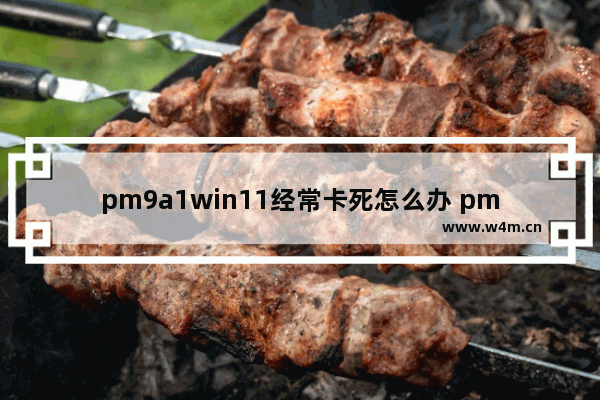 pm9a1win11经常卡死怎么办 pm9a1win11经常卡死解决方法