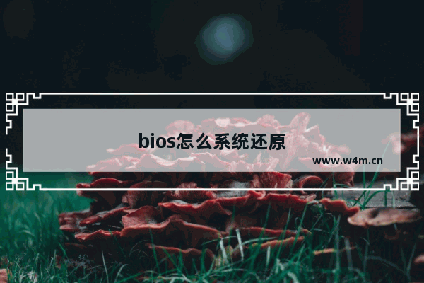 bios怎么系统还原