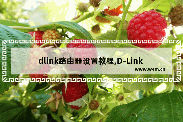 dlink路由器设置教程,D-Link DI-504M怎么设置图解