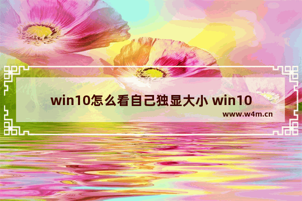 win10怎么看自己独显大小 win10怎么看自己独显大小型号