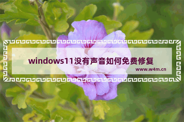 windows11没有声音如何免费修复 windows11没有声音如何免费修复方法介绍