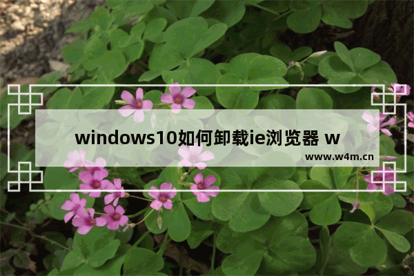 windows10如何卸载ie浏览器 windows10如何卸载ie浏览器方法介绍