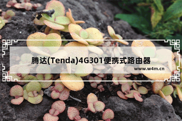 腾达(Tenda)4G301便携式路由器固定(静态)IP上网设置教程