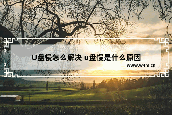 U盘慢怎么解决 u盘慢是什么原因