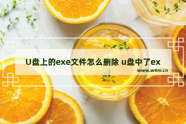 U盘上的exe文件怎么删除 u盘中了exe文件病毒怎样杀掉