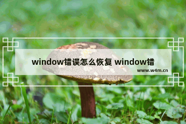 window错误怎么恢复 window错误怎么恢复如何跳过