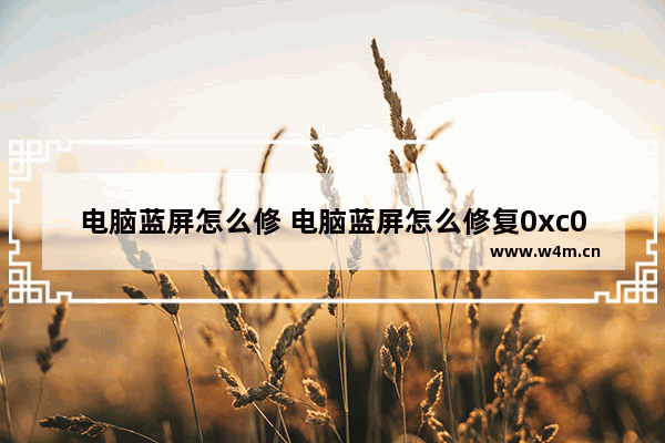 电脑蓝屏怎么修 电脑蓝屏怎么修复0xc0000005