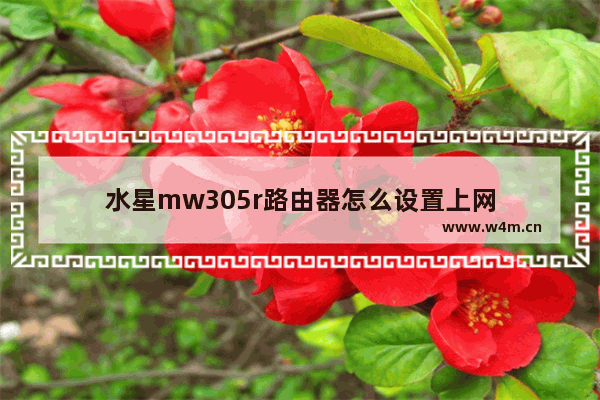 水星mw305r路由器怎么设置上网