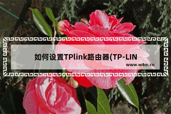 如何设置TPlink路由器(TP-LINK如何设置路由器)