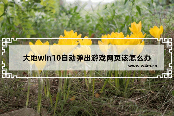 大地win10自动弹出游戏网页该怎么办