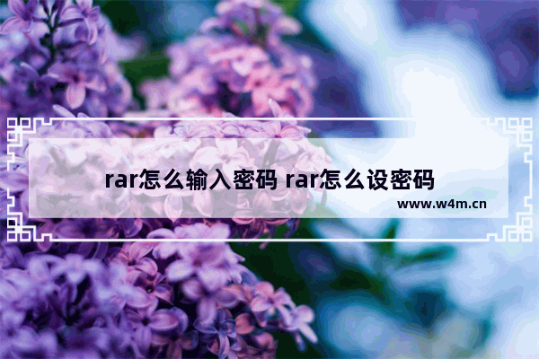 rar怎么输入密码 rar怎么设密码