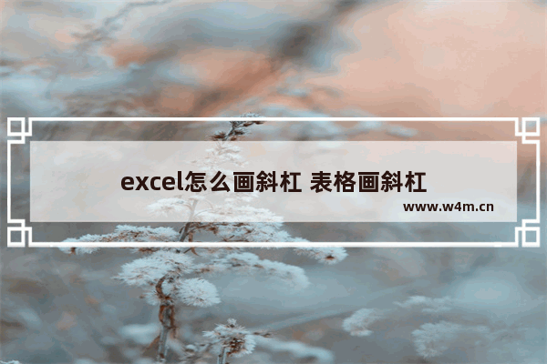 excel怎么画斜杠 表格画斜杠