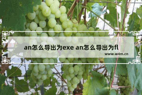 an怎么导出为exe an怎么导出为fla格式