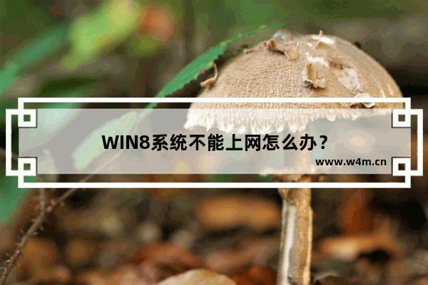 WIN8系统不能上网怎么办？