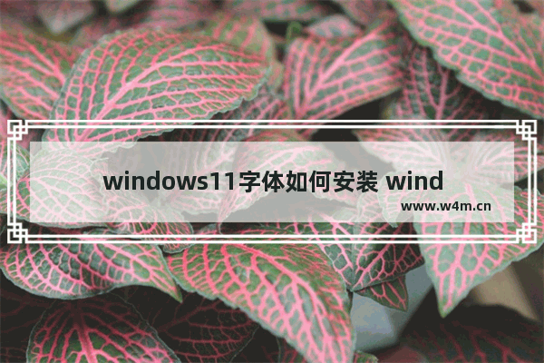 windows11字体如何安装 windows11字体如何安装方法介绍