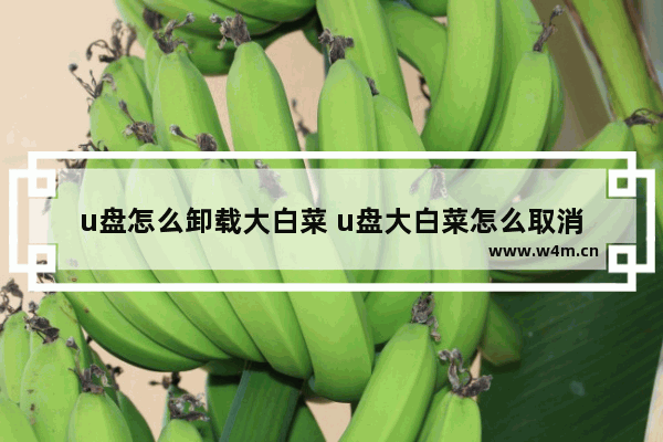 u盘怎么卸载大白菜 u盘大白菜怎么取消