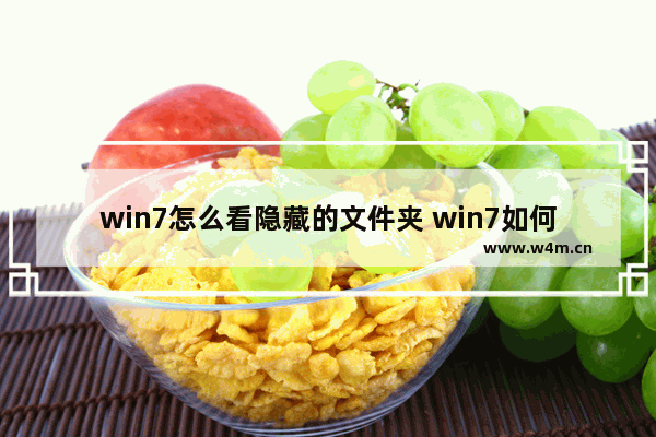 win7怎么看隐藏的文件夹 win7如何查看隐藏的文件夹和文件