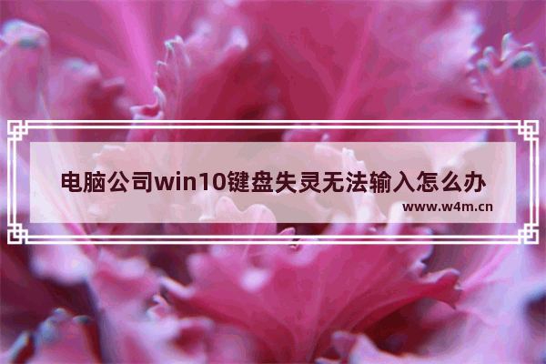 电脑公司win10键盘失灵无法输入怎么办