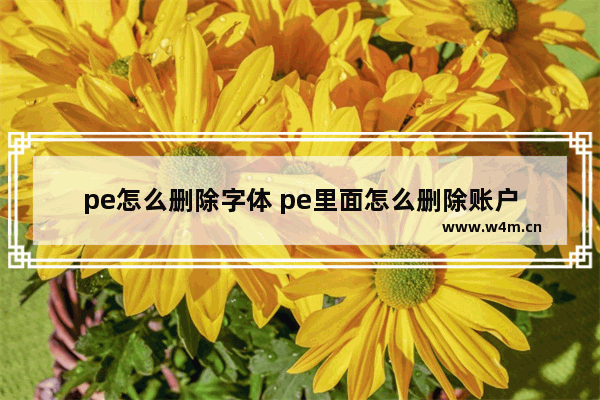 pe怎么删除字体 pe里面怎么删除账户