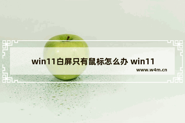 win11白屏只有鼠标怎么办 win11白屏只有鼠标解决方法