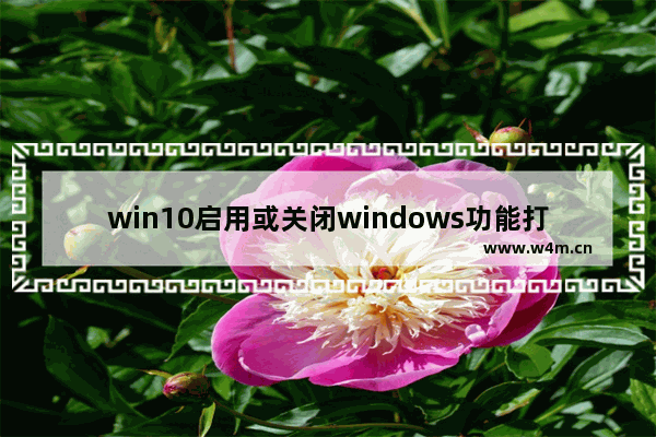 win10启用或关闭windows功能打开空白解决方法