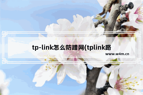 tp-link怎么防蹭网(tplink路由器防蹭网怎么设置)