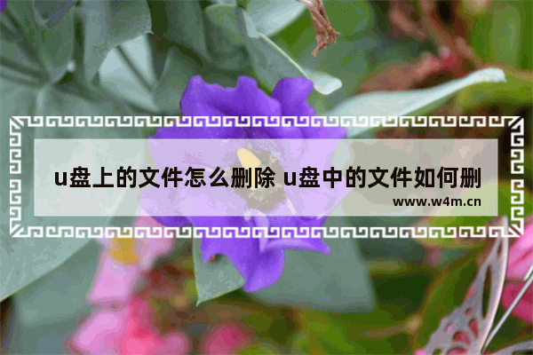 u盘上的文件怎么删除 u盘中的文件如何删除