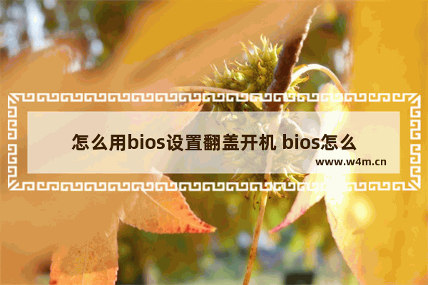 怎么用bios设置翻盖开机 bios怎么翻页