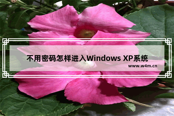 不用密码怎样进入Windows XP系统