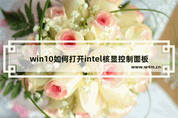 win10如何打开intel核显控制面板 win10如何打开intel核显控制面板方法介绍