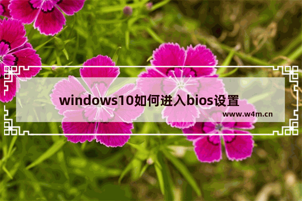 windows10如何进入bios设置 windows10进入bios设置方法教程