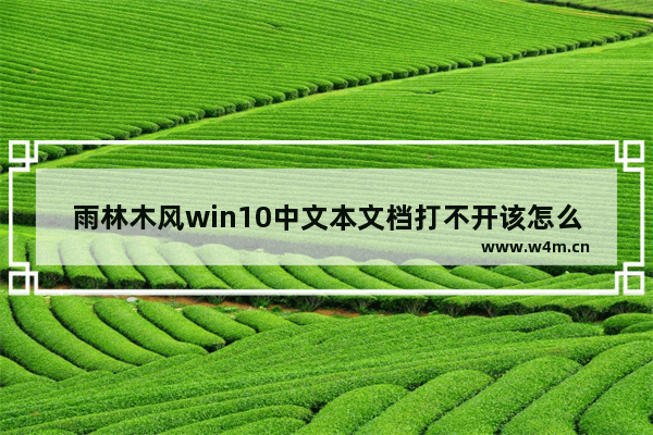 雨林木风win10中文本文档打不开该怎么办