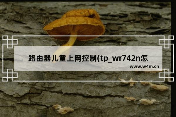 路由器儿童上网控制(tp_wr742n怎么设置路由)