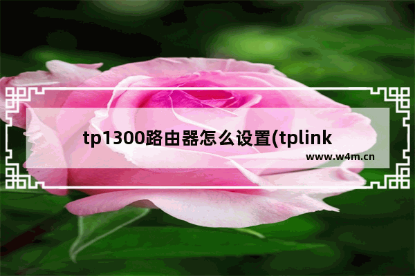 tp1300路由器怎么设置(tplinkac1300路由器设置网址)