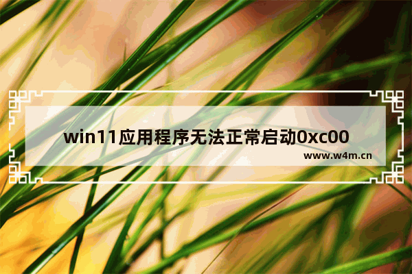 win11应用程序无法正常启动0xc0000142怎么解决