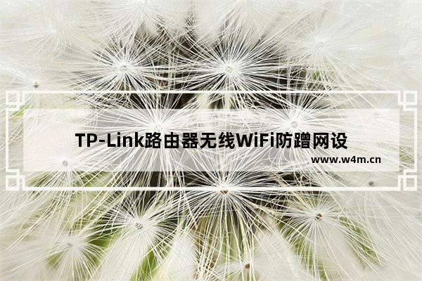 TP-Link路由器无线WiFi防蹭网设置图文教程