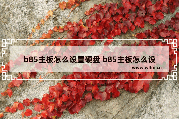 b85主板怎么设置硬盘 b85主板怎么设置硬盘启动顺序