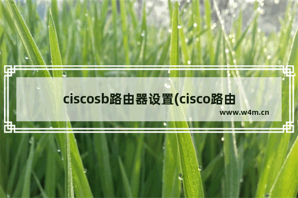 ciscosb路由器设置(cisco路由器配置手册)