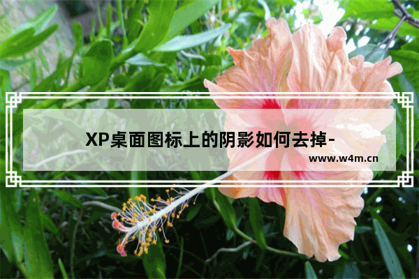 XP桌面图标上的阴影如何去掉-