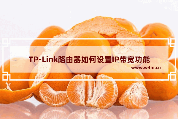 TP-Link路由器如何设置IP带宽功能