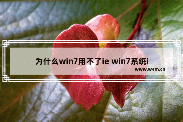 为什么win7用不了ie win7系统ie浏览器打不开解决办法