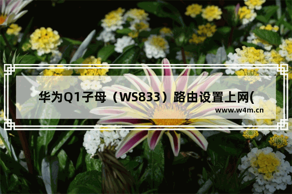 华为Q1子母（WS833）路由设置上网(图文教程)