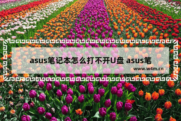 asus笔记本怎么打不开U盘 asus笔记本u盘启动不了