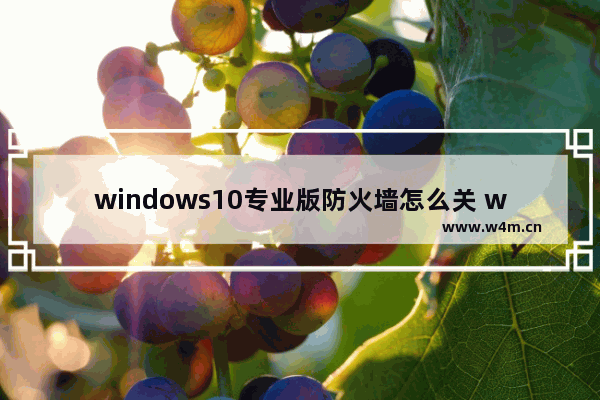 windows10专业版防火墙怎么关 windows10专业版防火墙关闭方法介绍