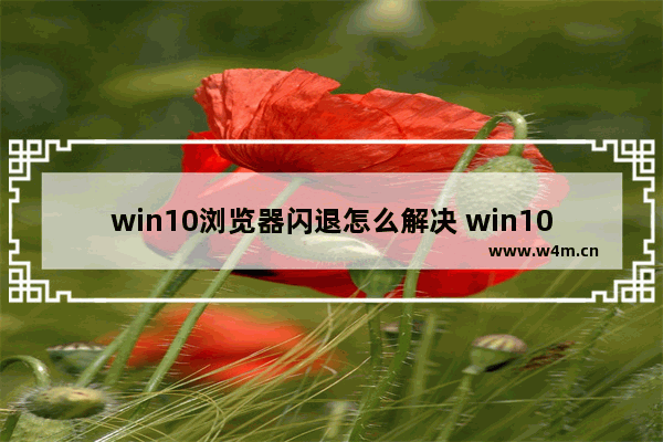 win10浏览器闪退怎么解决 win10浏览器闪退解决办法