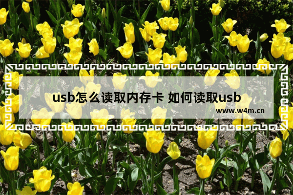 usb怎么读取内存卡 如何读取usb