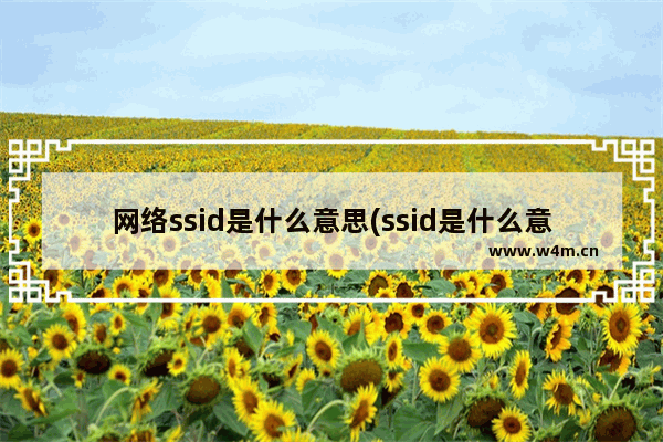 网络ssid是什么意思(ssid是什么意思路由器设置里)