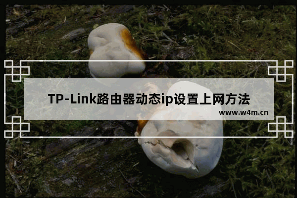 TP-Link路由器动态ip设置上网方法