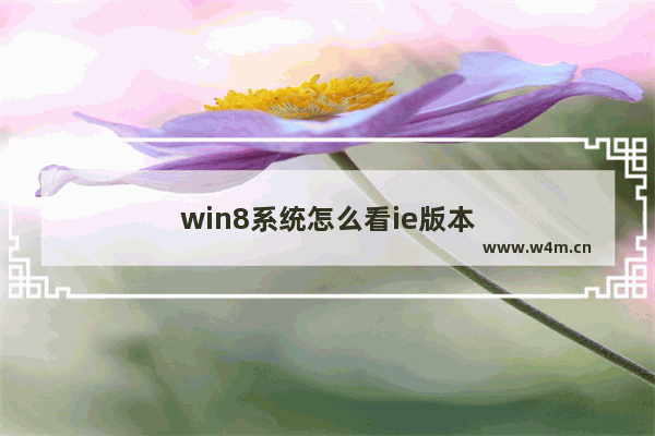 win8系统怎么看ie版本